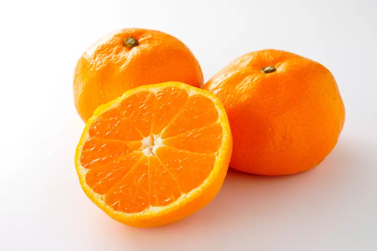 mandarine satsuma