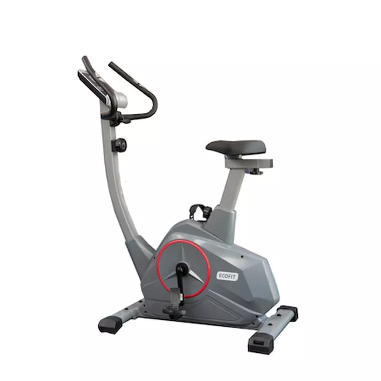 Biciclete de fitness pentru cei care vor să slăbească dupa Sărbatorile de Iarnă - Bicicletă EcoFit 1601